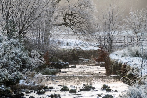 Frost at Entwistle, the panasonic Fz1000.