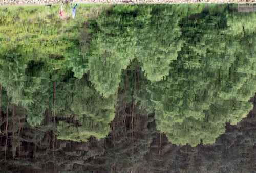 Dog walkers reflected on Entwistle Reservoir, Lancashire.