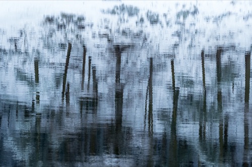 Winter trees at Entwistle.